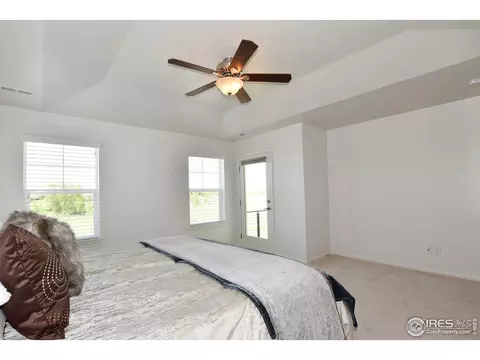 366 Baja Dr, Windsor, CO 80550 photo 23