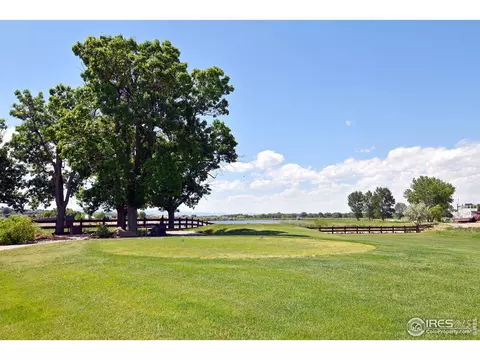 366 Baja Dr, Windsor, CO 80550 photo 35