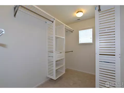 366 Baja Dr, Windsor, CO 80550 photo 20