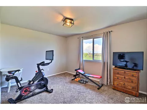 272 Mt Harvard Ave, Windsor, CO 80550 photo 29