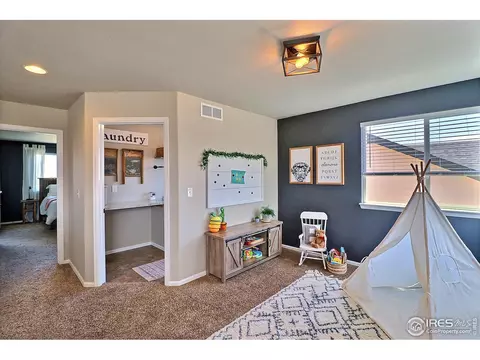 272 Mt Harvard Ave, Windsor, CO 80550 photo 19