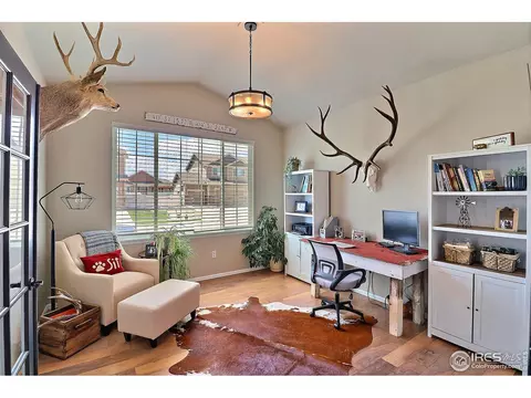 272 Mt Harvard Ave, Windsor, CO 80550 photo 15
