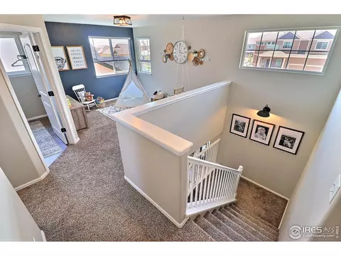 272 Mt Harvard Ave, Windsor, CO 80550 photo 18