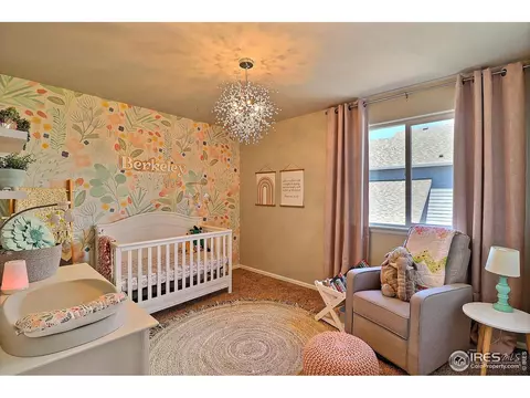 272 Mt Harvard Ave, Windsor, CO 80550 photo 28