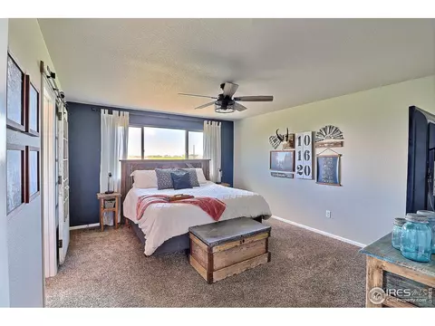 272 Mt Harvard Ave, Windsor, CO 80550 photo 22
