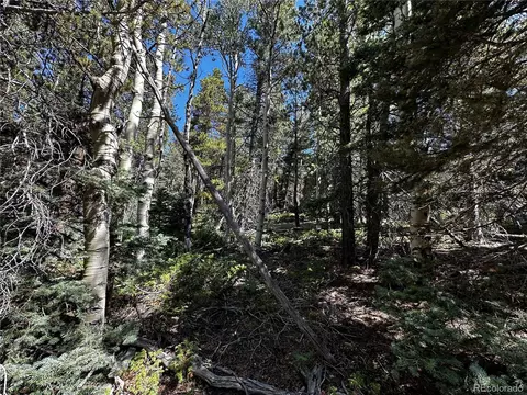 3241 Zipf Ln, Fort Garland, CO 81133