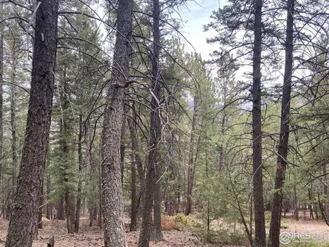 Moose Rd, Lyons, CO 80540 photo 2