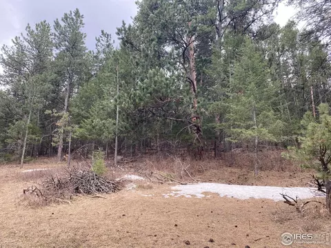 Moose Rd, Lyons, CO 80540 photo 6