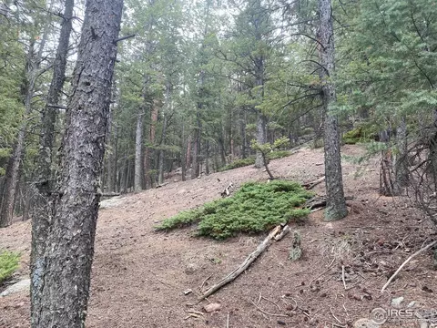 Moose Rd, Lyons, CO 80540 photo 5