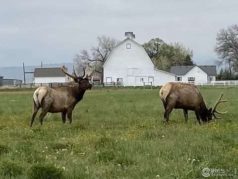 2143 W County Road 8, Berthoud, CO 80513 photo 36