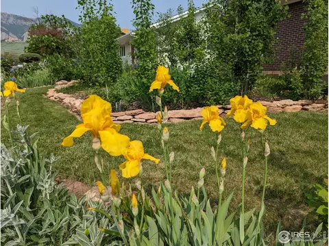 3305 Darley Ave, Boulder, CO 80305 photo 33