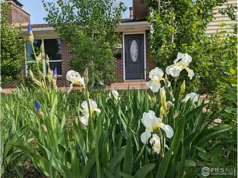 3305 Darley Ave, Boulder, CO 80305 photo 35