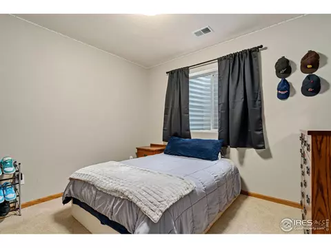 1424 Red Fox Cir, Severance, CO 80550 photo 26