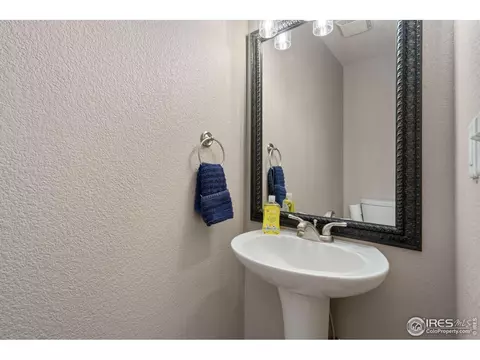 1424 Red Fox Cir, Severance, CO 80550 photo 14