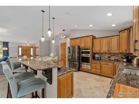 1424 Red Fox Cir, Severance, CO 80550 photo 11