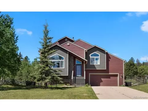481 Black Bear Trl, Woodland Park, CO 80863