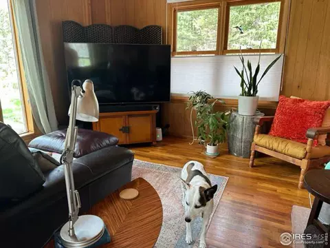 702 Riverside Dr, Lyons, CO 80540 photo 3