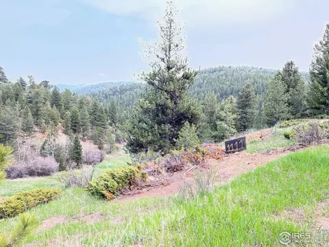 1111 Primos Rd, Boulder, CO 80302 photo 21