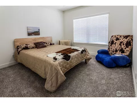 6650 Crystal Downs Dr #207, Windsor, CO 80550 photo 24