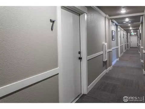 6650 Crystal Downs Dr #207, Windsor, CO 80550 photo 30
