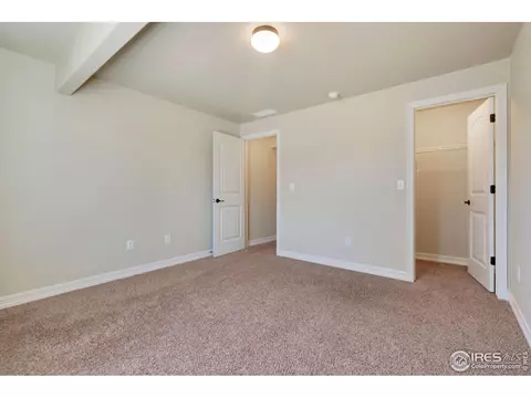 5591 Bexley Dr, Windsor, CO 80550 photo 25