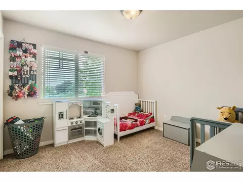4513 Dante St, Evans, CO 80620 photo 17