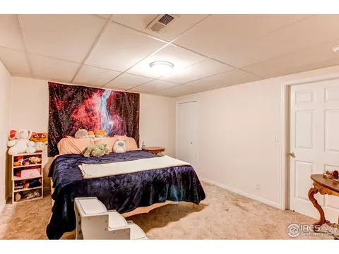 225 2nd St, Firestone, CO 80520 photo 25