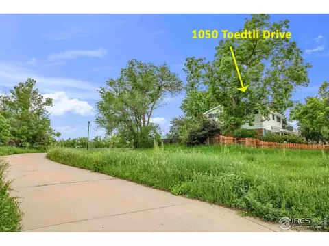 1050 Toedtli Dr, Boulder, CO 80305 photo 2