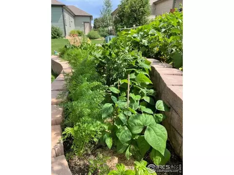 8220 Wynstone Ct, Windsor, CO 80550 photo 34