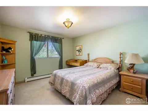 7820 Kremers Ln, Laporte, CO 80535 photo 19