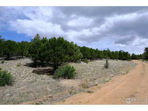 515 Sunset Trl, Cotopaxi, CO 81223