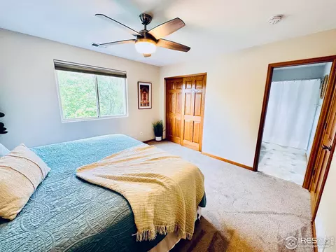 103 E Indiana Ave, Berthoud, CO 80513 photo 27