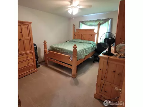 738 Apple Ct, Windsor, CO 80550 photo 10