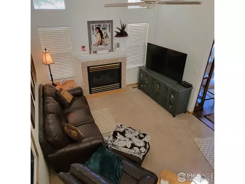 738 Apple Ct, Windsor, CO 80550 photo 4