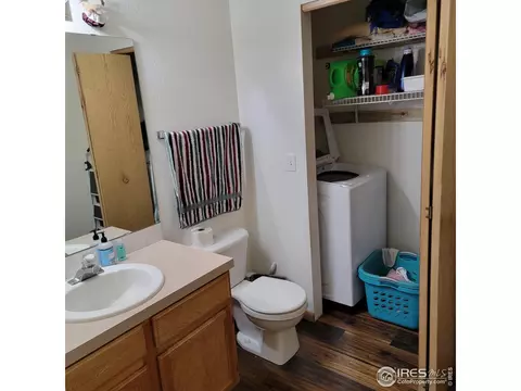 738 Apple Ct, Windsor, CO 80550 photo 2