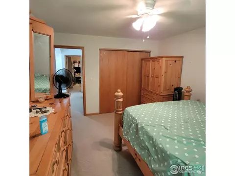 738 Apple Ct, Windsor, CO 80550 photo 11
