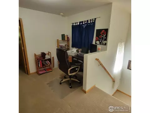 738 Apple Ct, Windsor, CO 80550 photo 9