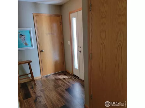 738 Apple Ct, Windsor, CO 80550 photo 3