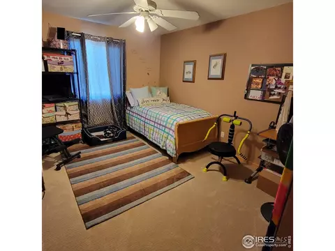 738 Apple Ct, Windsor, CO 80550 photo 12