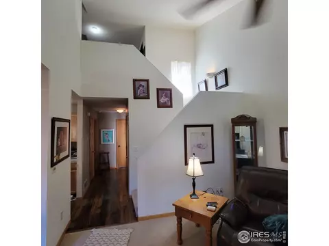 738 Apple Ct, Windsor, CO 80550 photo 8