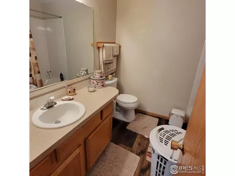 738 Apple Ct, Windsor, CO 80550 photo 13