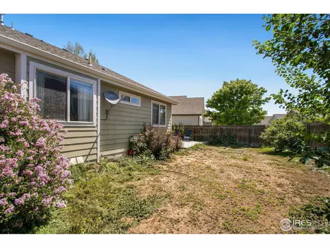 781 Bluegrass Way, Windsor, CO 80550 photo 24