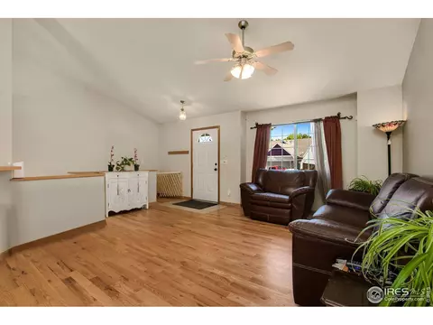 781 Bluegrass Way, Windsor, CO 80550 photo 6