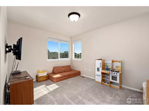 2078 Reliance Dr, Windsor, CO 80550 photo 18