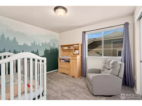 2078 Reliance Dr, Windsor, CO 80550 photo 21