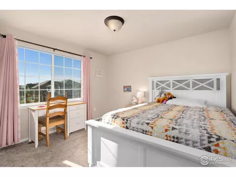 2078 Reliance Dr, Windsor, CO 80550 photo 23