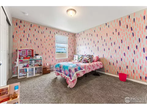 910 Camberly Dr, Windsor, CO 80550 photo 24