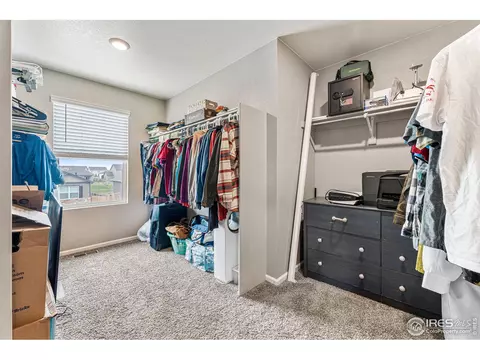 910 Camberly Dr, Windsor, CO 80550 photo 22
