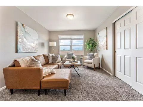 910 Camberly Dr, Windsor, CO 80550 photo 26