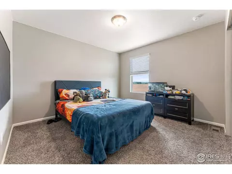 910 Camberly Dr, Windsor, CO 80550 photo 27